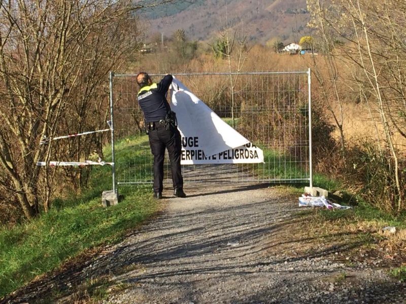 No hay víbora de Gabón en Hondarribia 1 cartel quitado No hay víbora de Gabón en Hondarribia