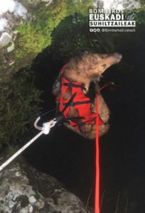 rescate perro 204x300 - Rescate de un can en el Monte Aloña