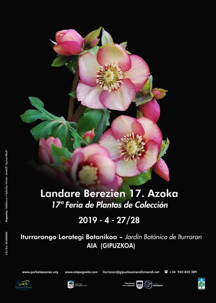 Nueva cita con la Feria de Plantas de Colección, hoy y mañana, en Aia 8 feria plantas aia 731x1024 1 Nueva cita con la Feria de Plantas de Colección, hoy y mañana, en Aia