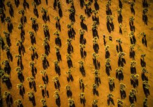 Ganadores del certamen fotográfico de la Sociedad de Caza y Pesca La Zurriola 4 D79lxIqXUAEFtwn Ganadores del certamen fotográfico de la Sociedad de Caza y Pesca La Zurriola