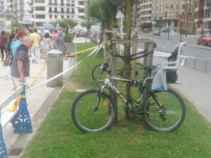 La Guardia Municipal acordona un nido de abejas junto a la Perla 5 20190720 124607 800x600 La Guardia Municipal acordona un nido de abejas junto a la Perla