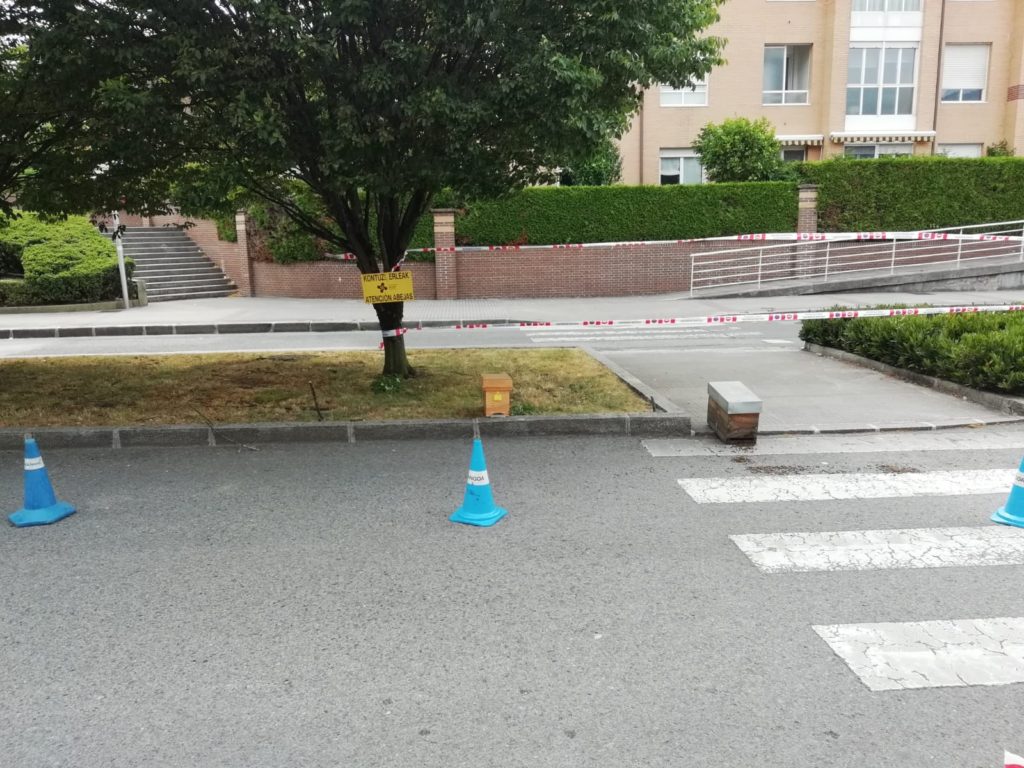 La Guardia Municipal acota en Tolosa un paso cebra por la presencia de abejas 9 IMG 20190704 WA0013 La Guardia Municipal acota en Tolosa un paso cebra por la presencia de abejas