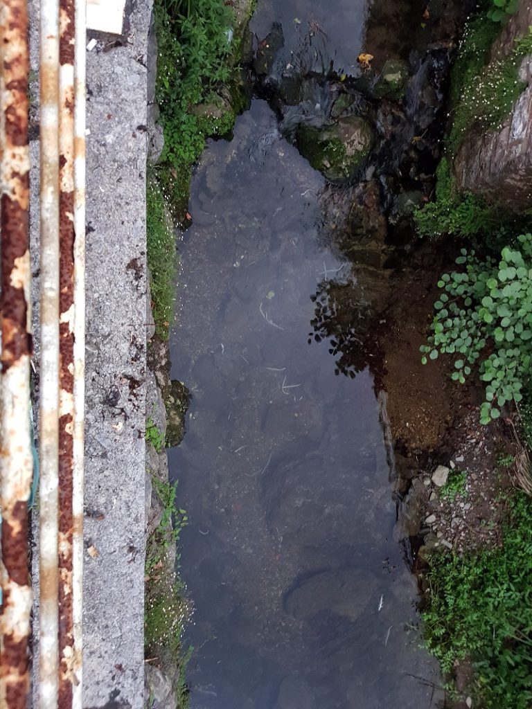 regata Pekin La Fiscalía de Medio Ambiente abre diligencias por vertidos en la regata Pekin de Orereta-Errenteria