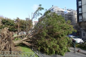 IMG 20200303 WA0009 300x200 - El viento provoca más de 220 llamadas por emergencias en Donostia