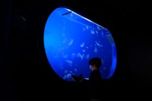 2020 0603 10221100 copy 800x533 Malen y Jon, primeros visitantes al Aquarium tras el confinamiento