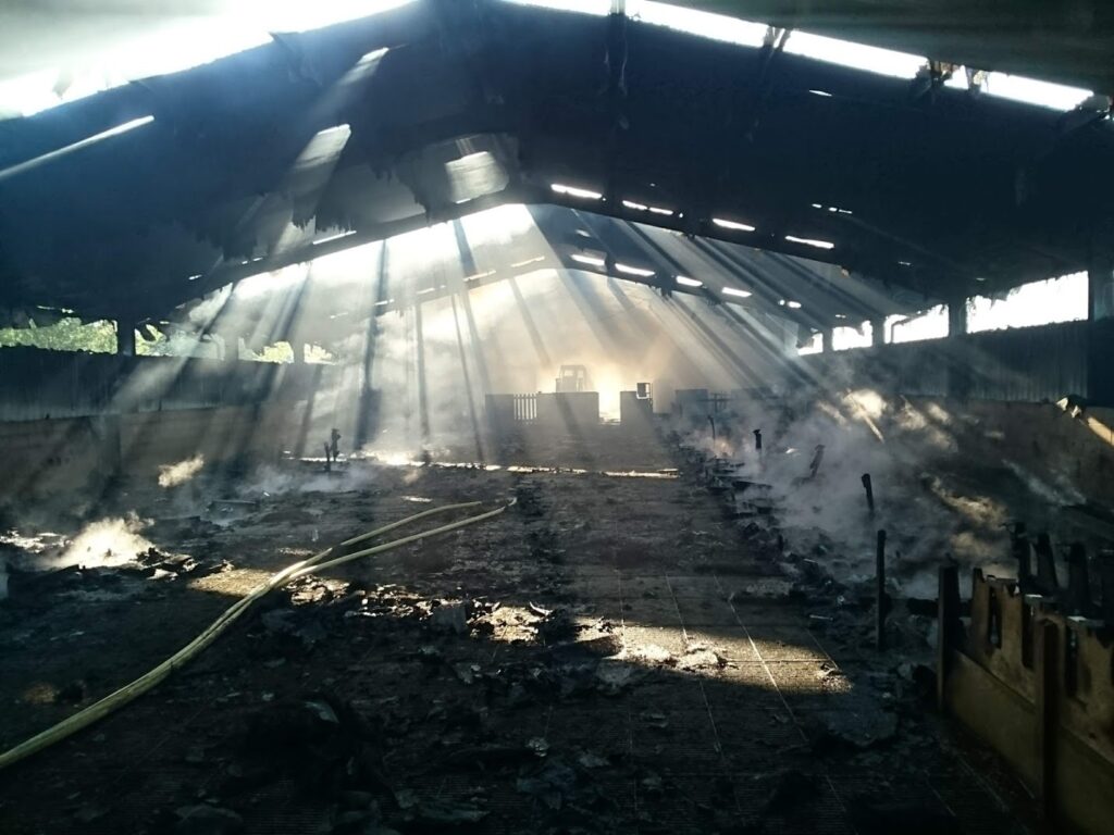 Un incendio en Errezil mata a docenas de ovejas y produce numerosos daños 2 Errezil 1 Un incendio en Errezil mata a docenas de ovejas y produce numerosos daños