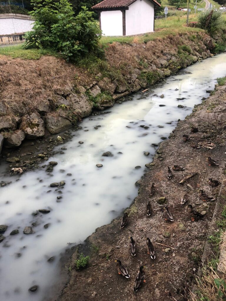Mijoa 2020 abuztua 2 Vertidos por tercera vez este año en el arroyo Mijoa