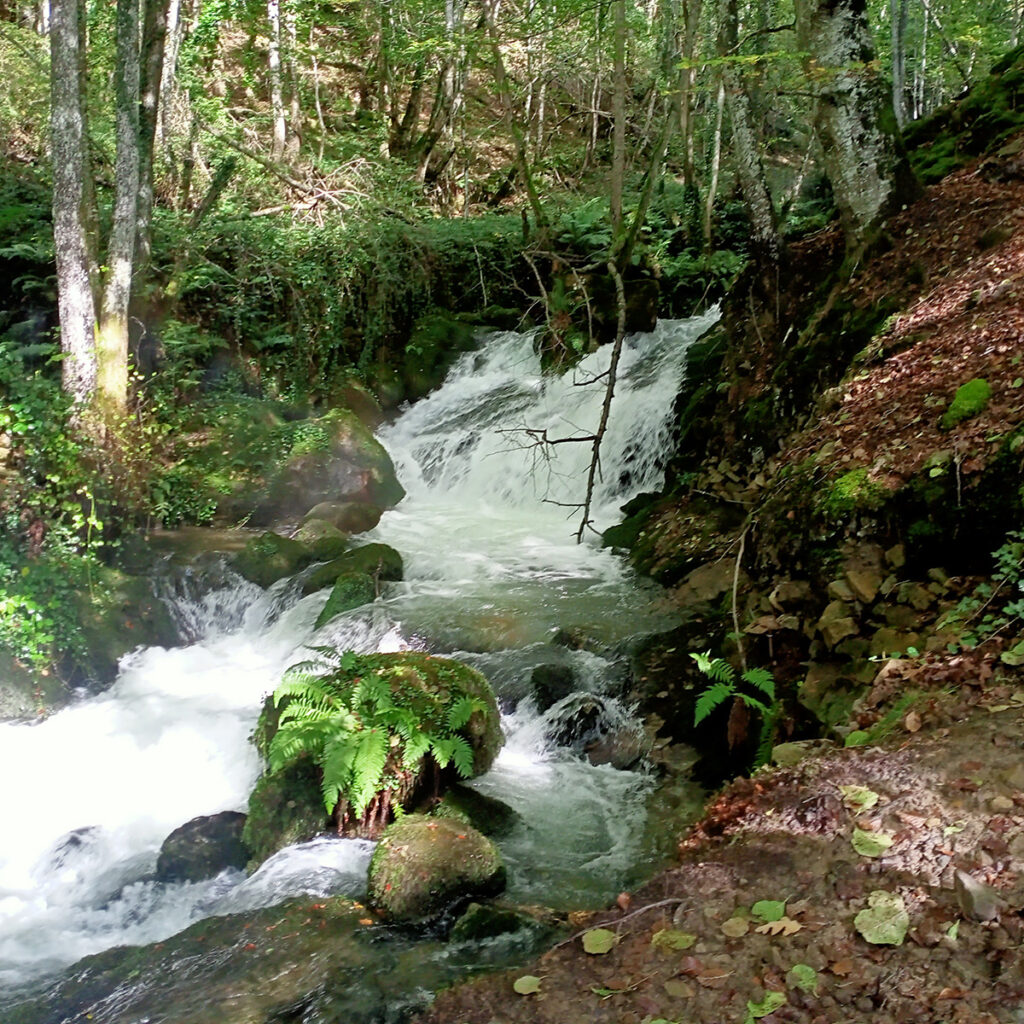 Nacedero de Iturrutxaran. Morada de las ninfas 2 Zirauntza