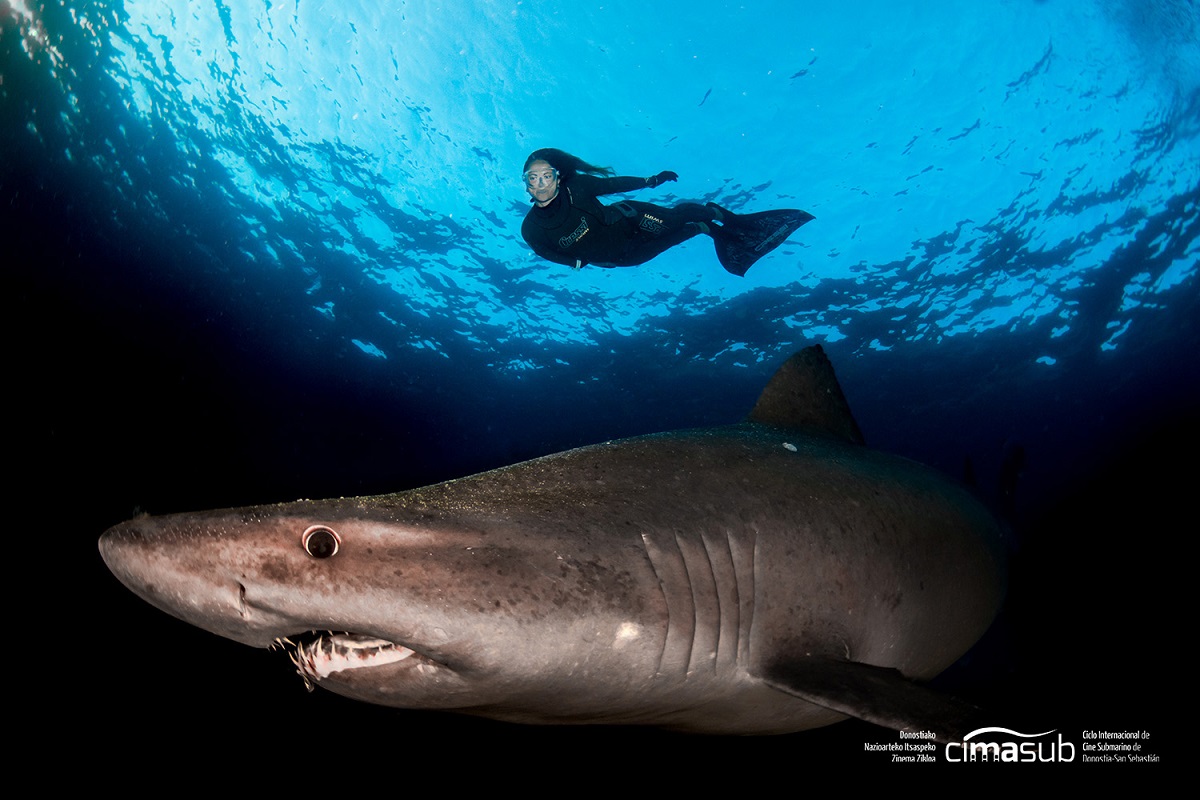 "La gente va a salir tocada del Cimasub y eso buscamos: conciencia ecológica" 1 Cimasub