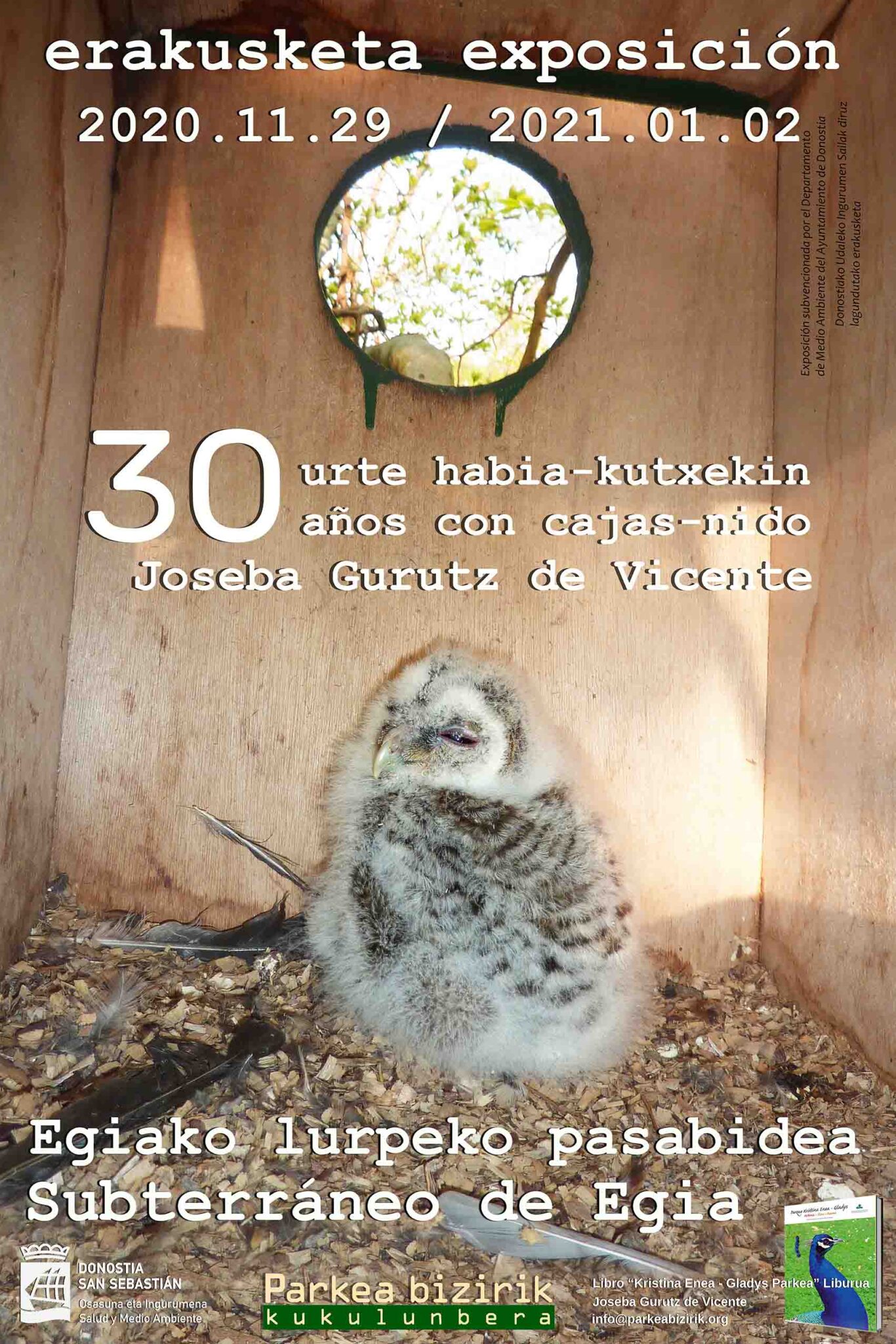 cajas subterraneo scaled Más de 2.300 aves han nacido en las cajas nido de Parkea Bizirik en 30 años