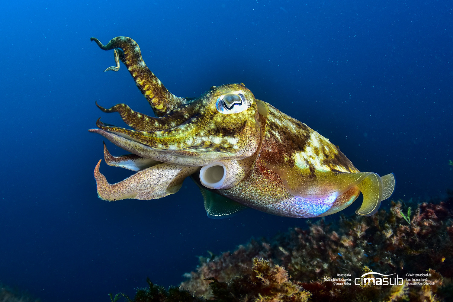 Agenda del fin de semana donostiarra 1 sepia Agenda del fin de semana donostiarra