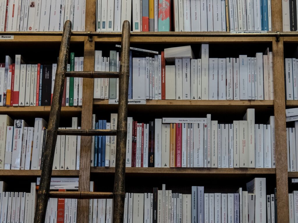 Bonos cultura en marcha para consumir en 64 establecimientos de Gipuzkoa 2 bookshop 1759619 1280 Bonos cultura en marcha para consumir en 64 establecimientos de Gipuzkoa