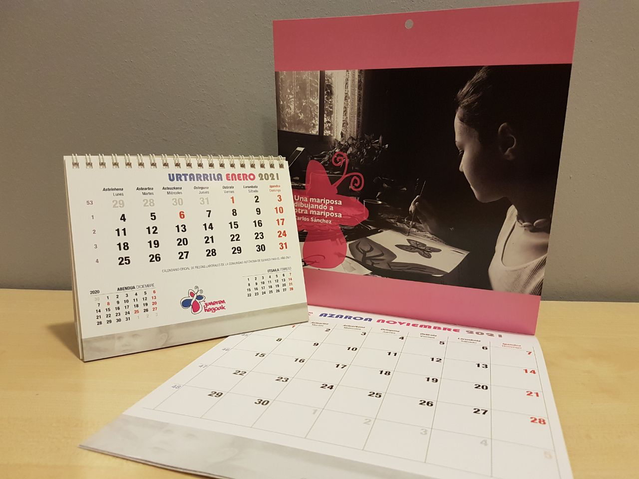 Juneren Hegoak pone a la venta su calendario solidario 2021 1 juneren hegoak Juneren Hegoak pone a la venta su calendario solidario 2021