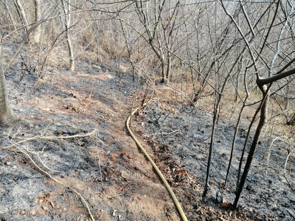 Jaizkibel1 Sofocado el incendio forestal declarado en el monte Jaizkibel