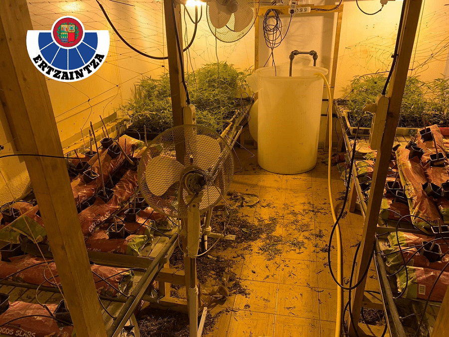 Elgoibar inst. 2 Detenida una pareja en un caserío de Elgoibar con una plantación de marihuana