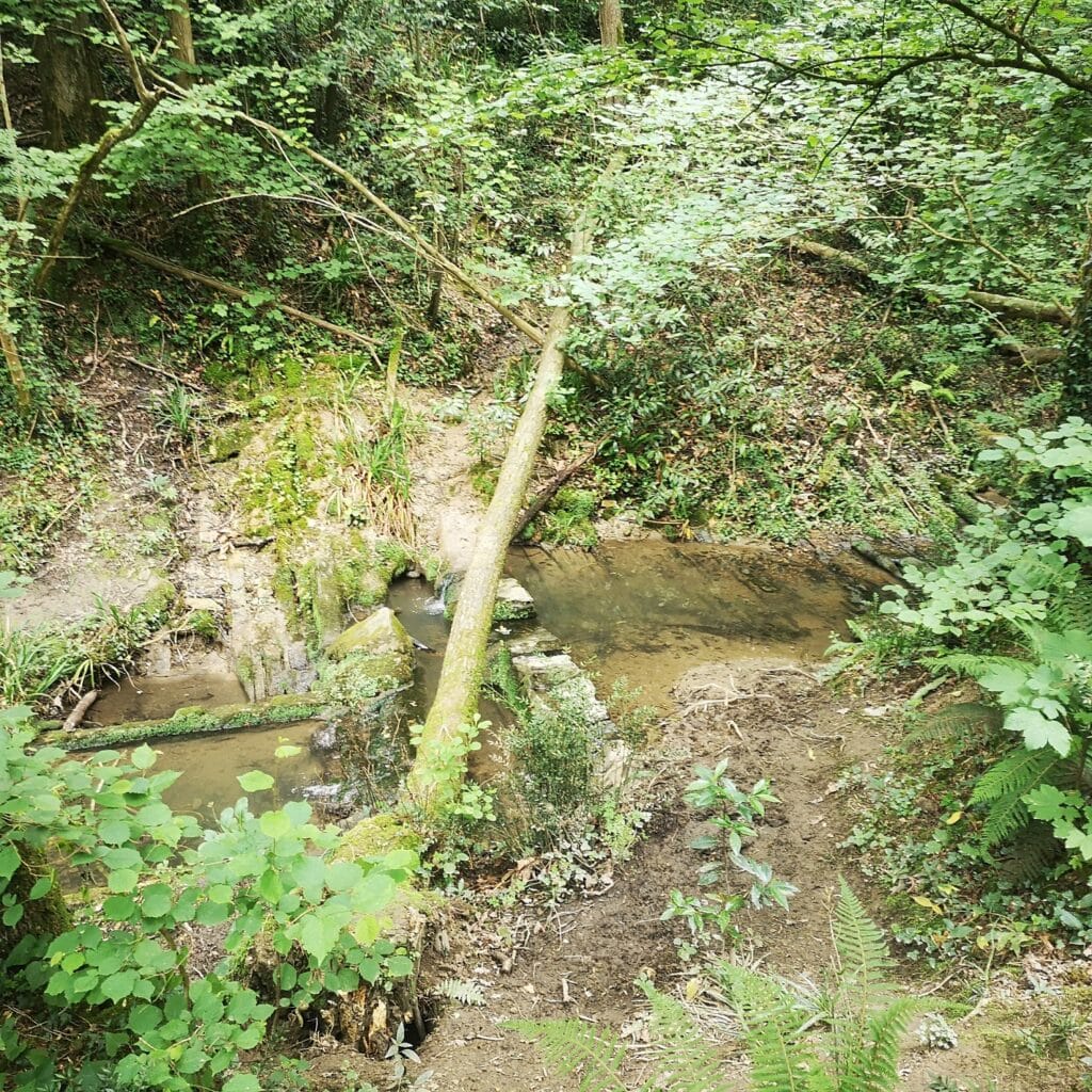 lavadero miramon erreka pakea Hallazgo: Un antiguo lavadero en Miramón espera el visto bueno de Aranzadi