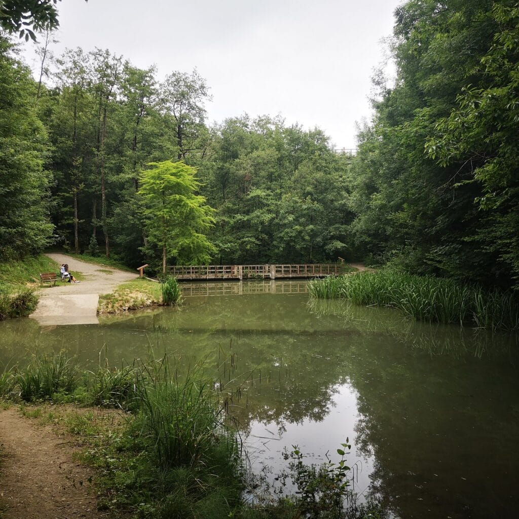 lavadero miramon estanque Hallazgo: Un antiguo lavadero en Miramón espera el visto bueno de Aranzadi