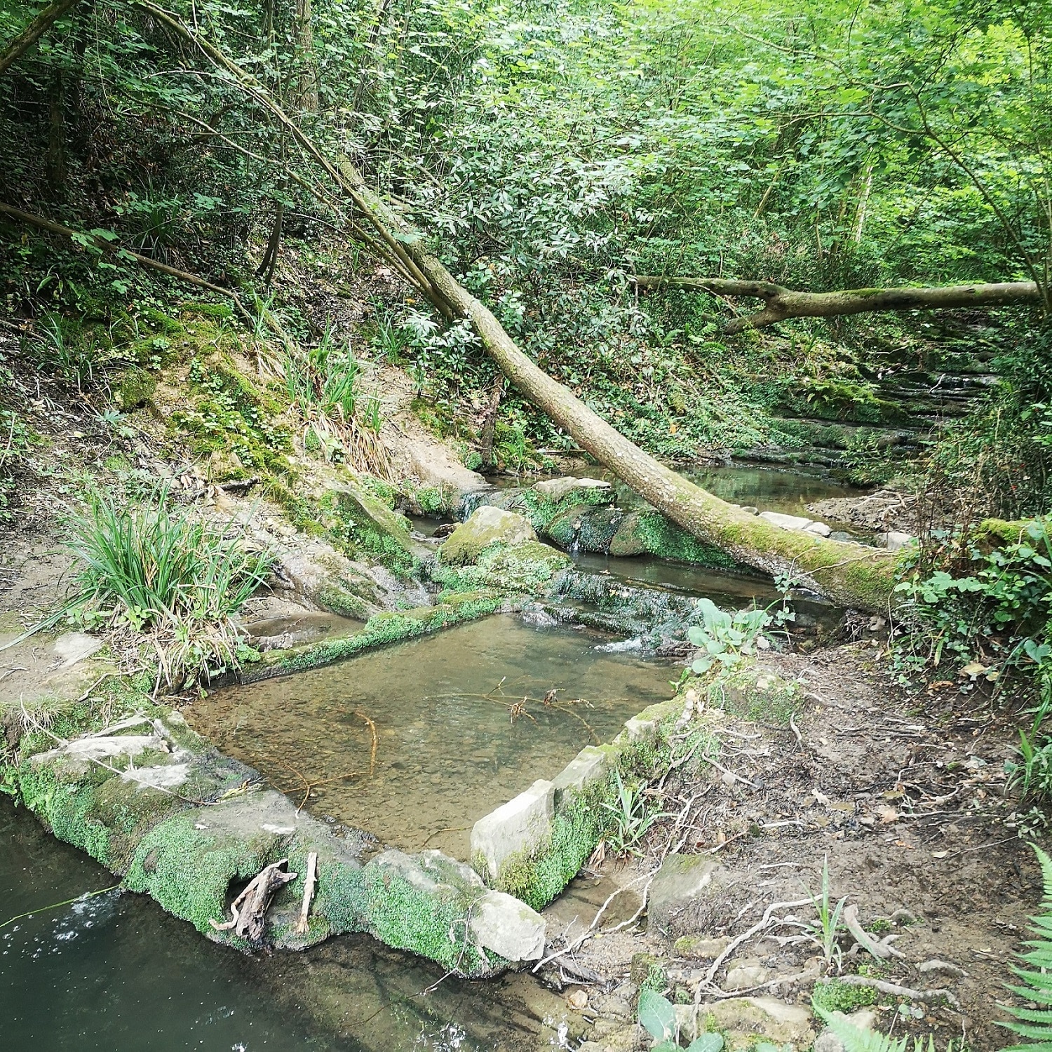 lavadero miramon Hallazgo: Un antiguo lavadero en Miramón espera el visto bueno de Aranzadi