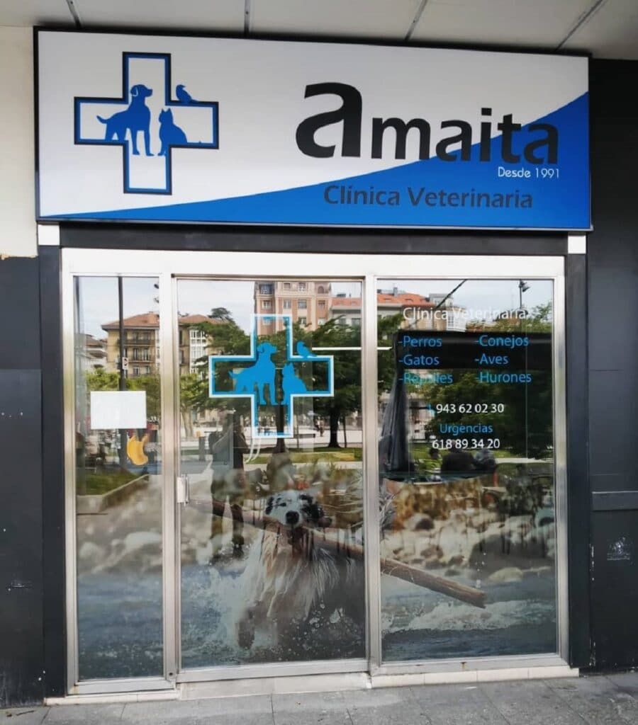 Amaita Veterinario Irun 1 Amaita Mascotas Irun celebra su 30 aniversario