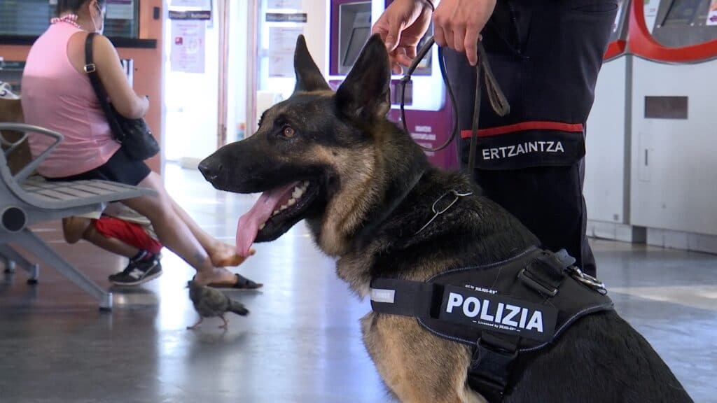 estacionErtzaintza2 Perros para detectar droga en las estaciones de Donostia