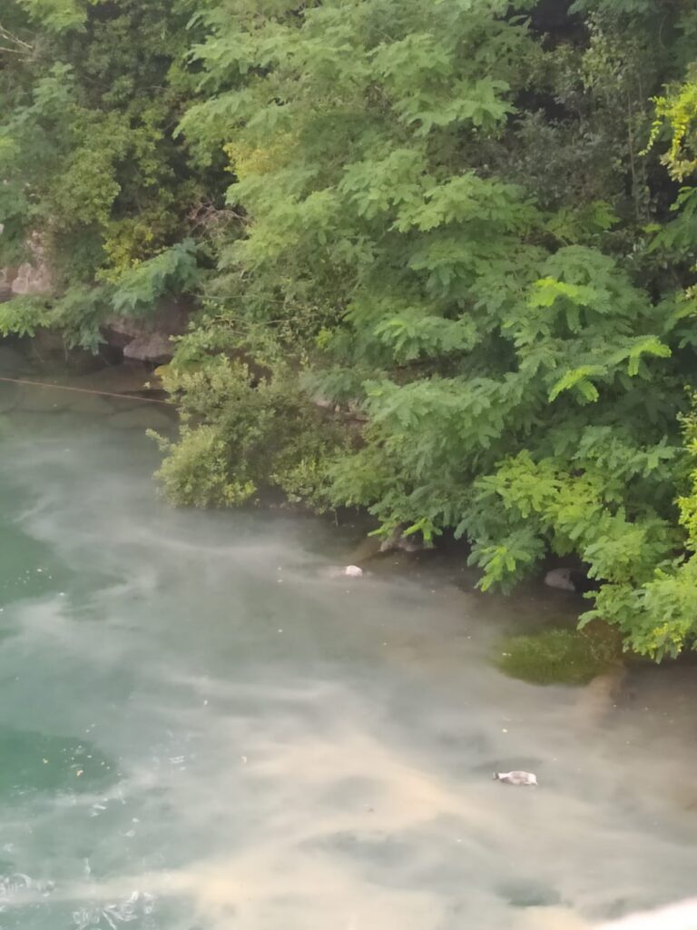 vertido Riberas Nuevo vertido en el Urumea (Riberas de Loiola)