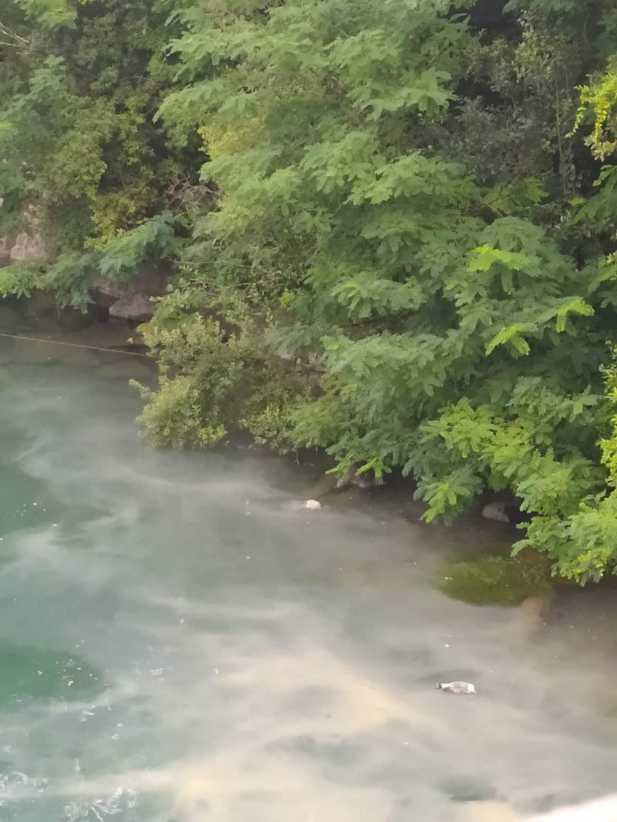 vertido Riberas Nuevo vertido en el Urumea (Riberas de Loiola)