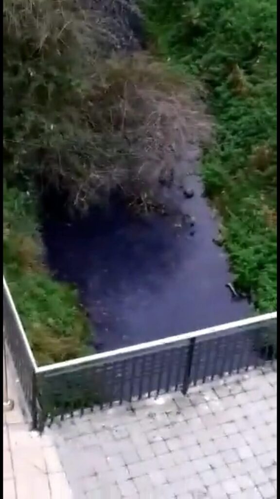 Amezketa erreka 1 2021 10 30 El río Amezketa se tiñe de azul por un nuevo vertido