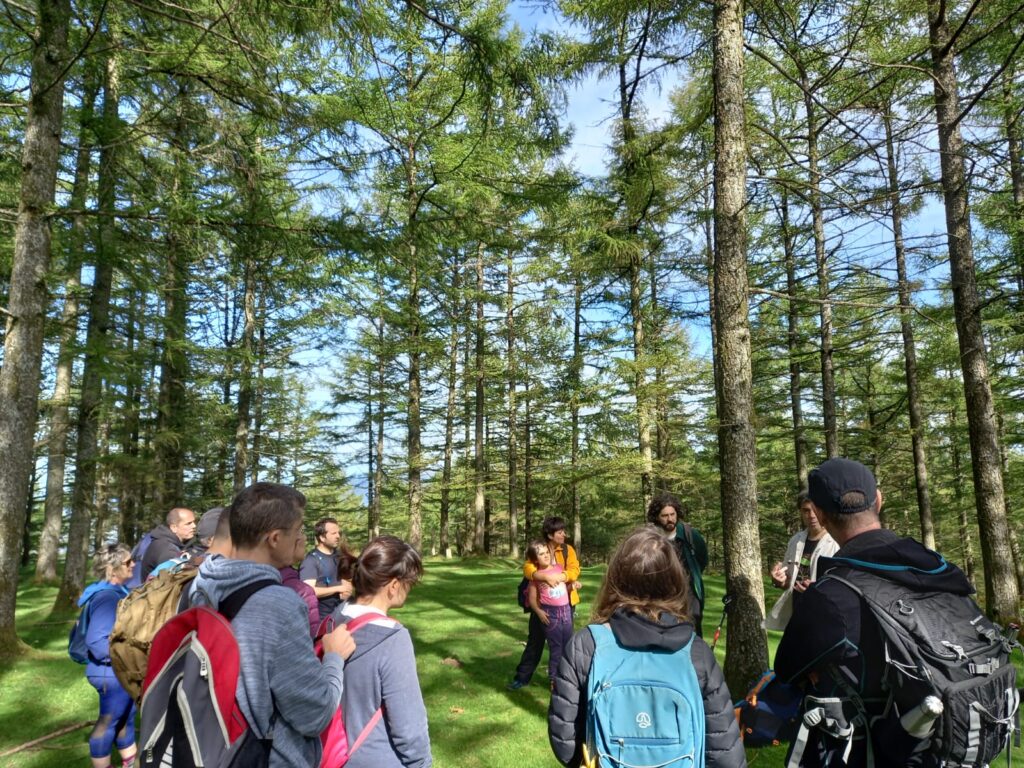 Nace Basotik para la gestión sostenible de los bosques de Gipuzkoa 15 Hojarasca Nace Basotik para la gestión sostenible de los bosques de Gipuzkoa