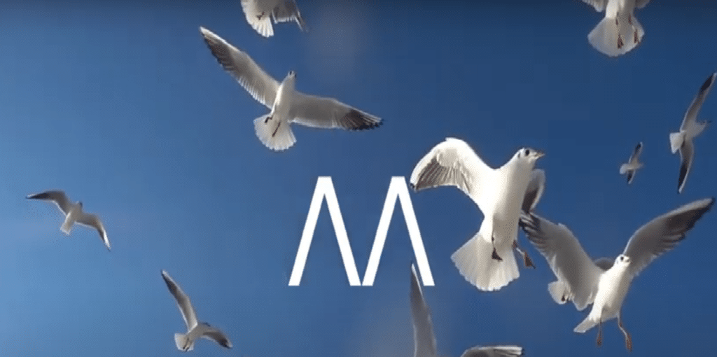 El Palacio Miramar presenta su nueva marca 19 Miramar El Palacio Miramar presenta su nueva marca