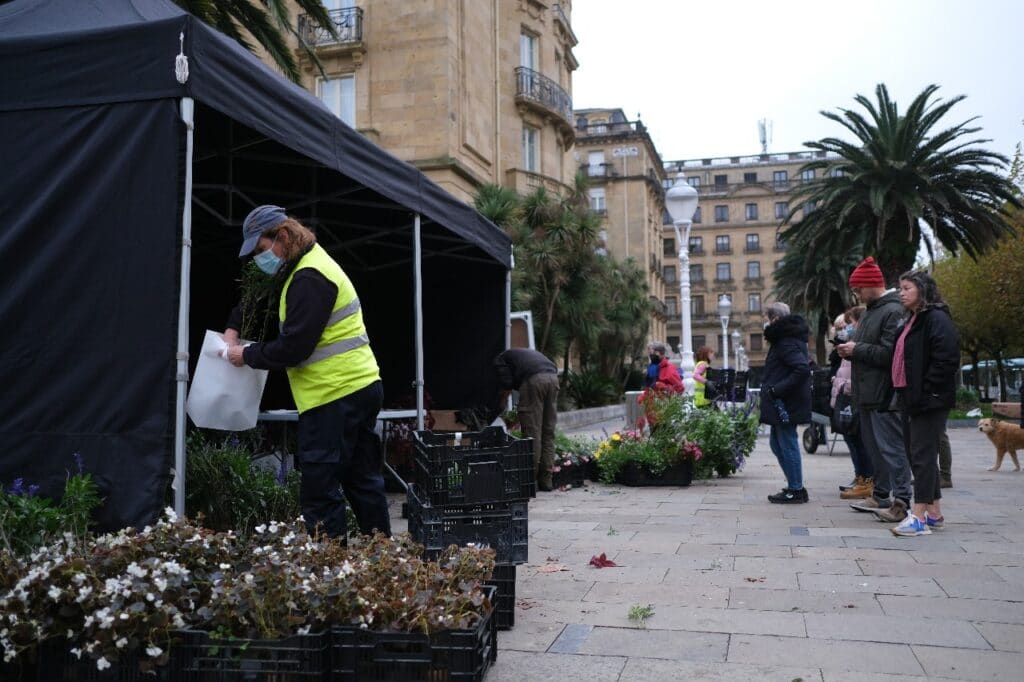 2021 1123 10411200 copy 1280x853 Se acerca a su fin el reparto de flores y plantas de los jardines municipales