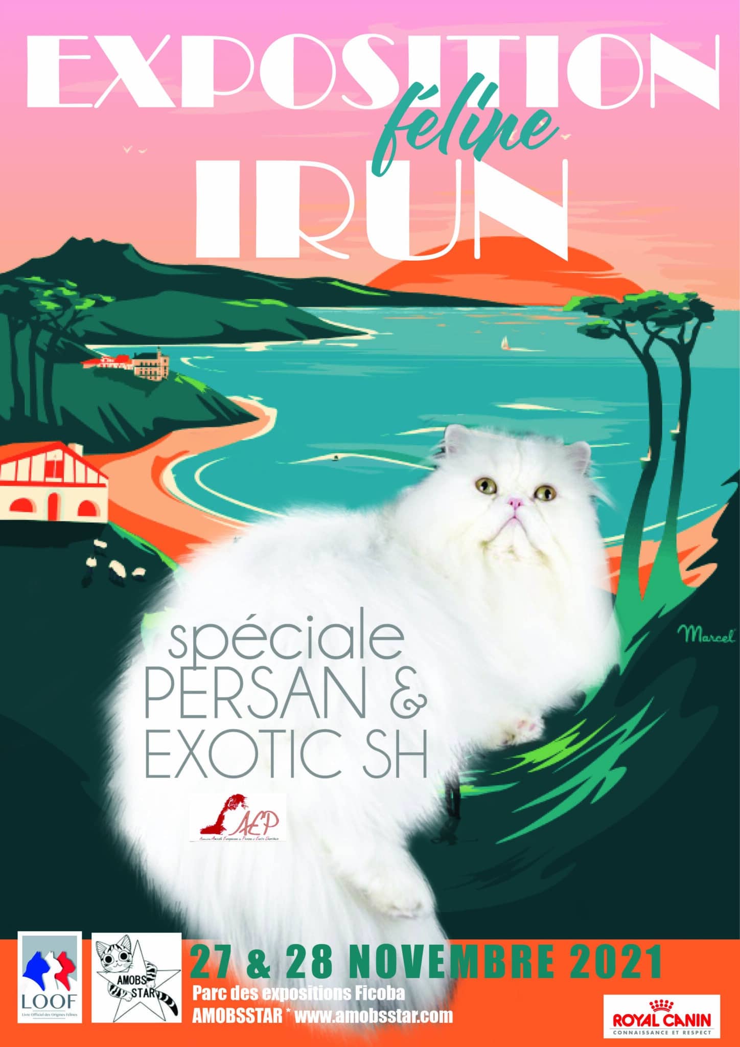 Affiche IRUN 2021 3 1 scaled La Exposición Internacional Felina regresa este fin de semana a Ficoba