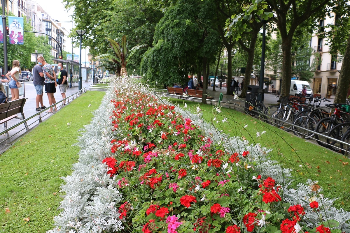 IMG 3689 Reparto gratuito de las flores de los jardines municipales de San Sebastián