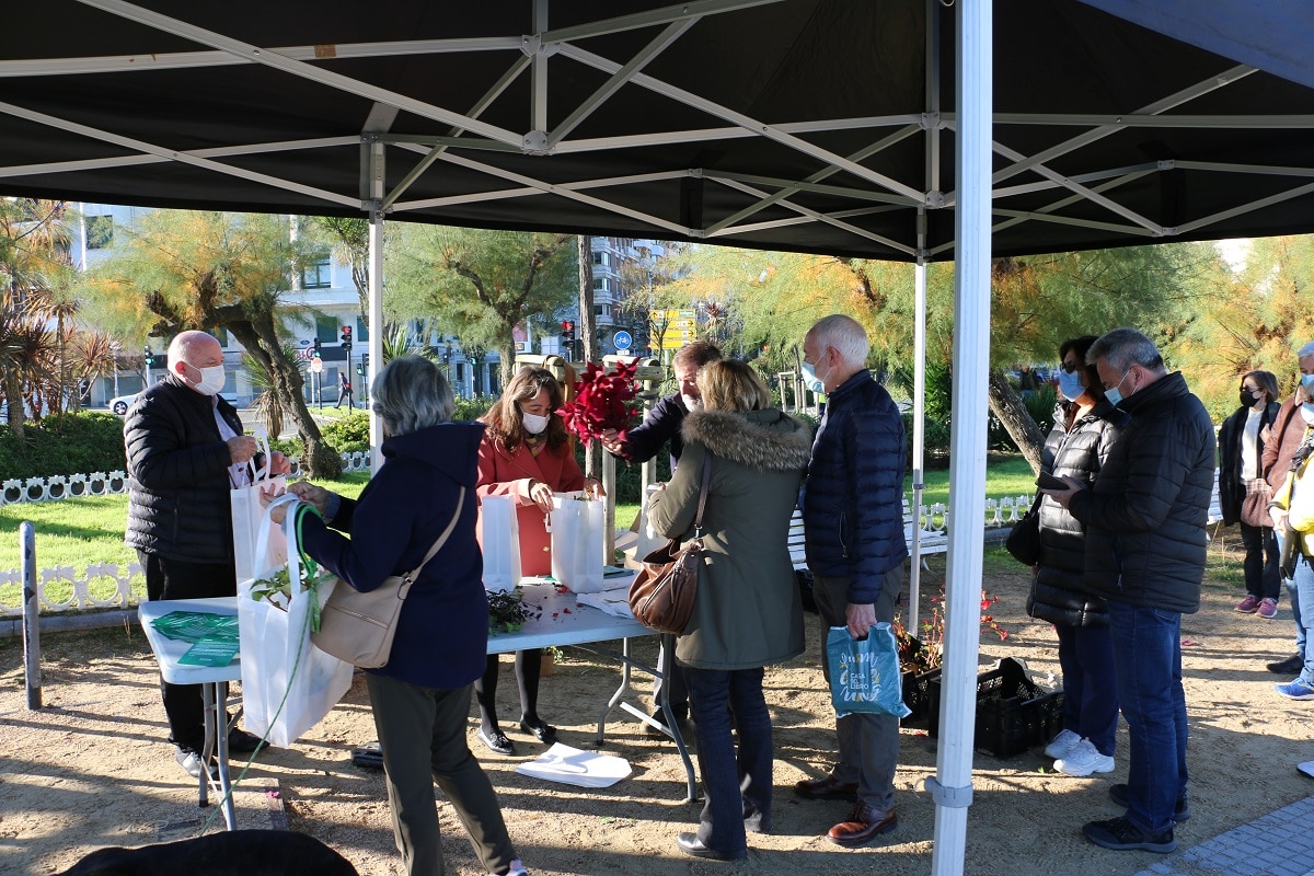 IMG 6818 Comienza el reparto de flores y plantas de los jardines municipales