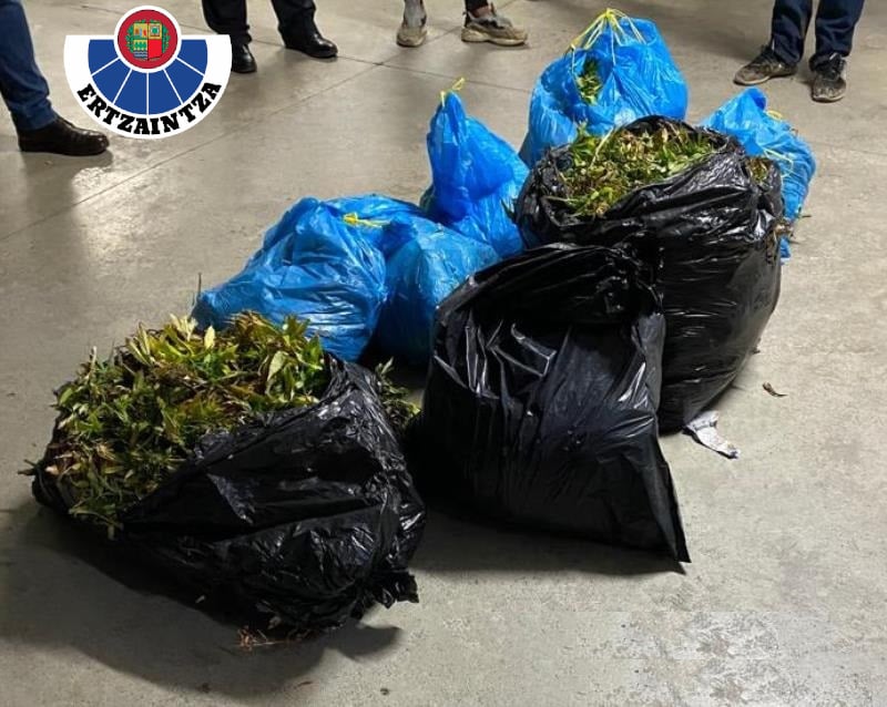 Interceptadas diez bolsas de basura con marihuana en un control en Arama 1 bolsas maria Interceptadas diez bolsas de basura con marihuana en un control en Arama