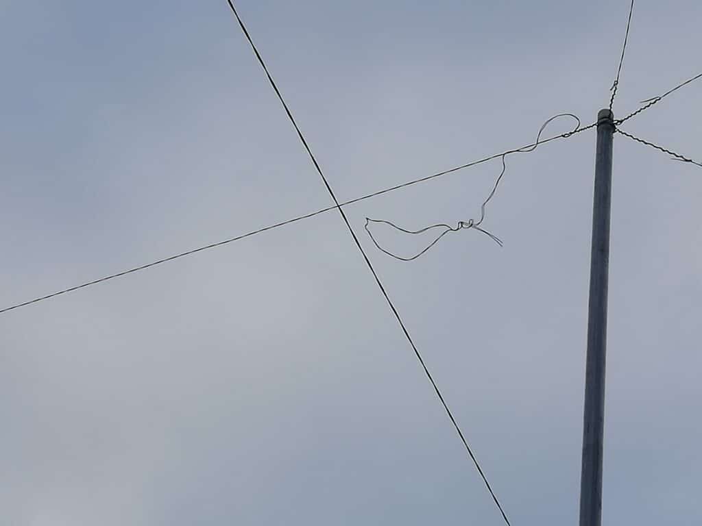 cable en el aire 1 Eguzki advierte del peligro de los cables navideños para las aves