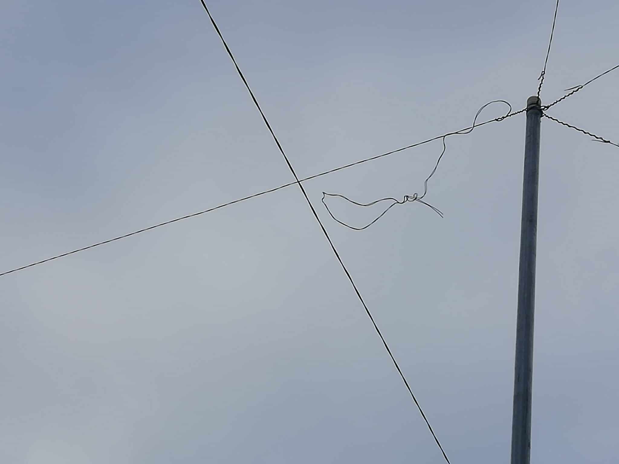 cable en el aire 1 scaled Eguzki advierte del peligro de los cables navideños para las aves