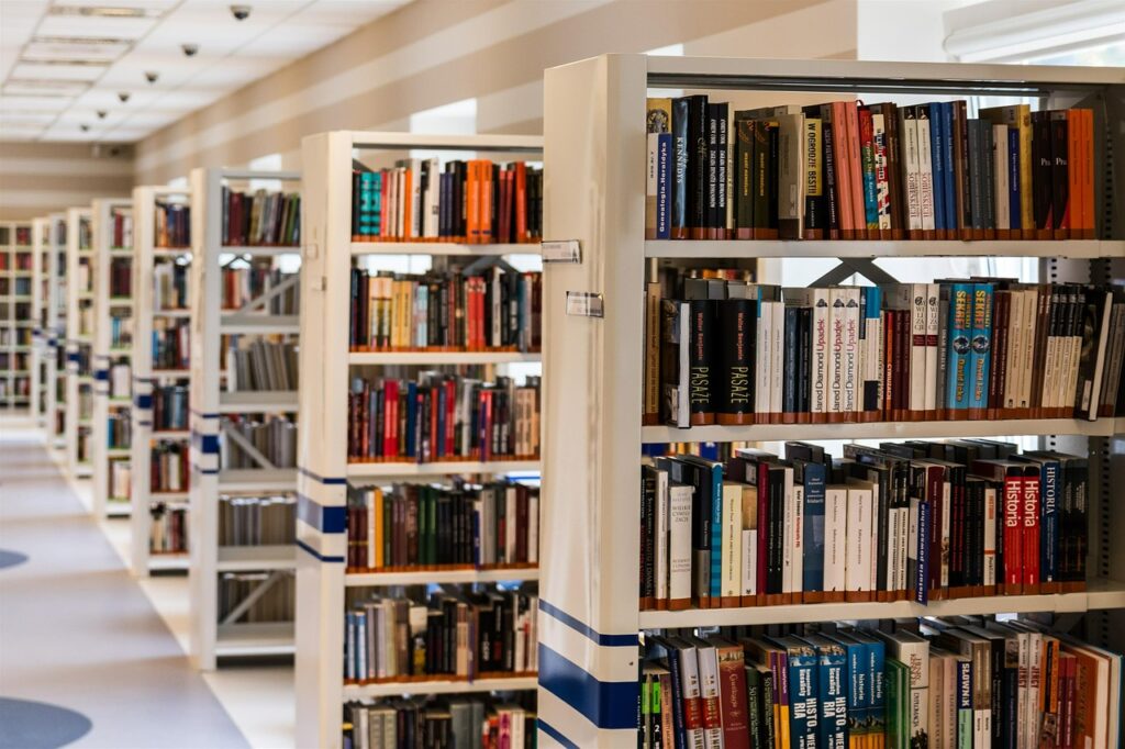 library gb2f43f5f0 1280 Subvenciones culturales para pequeños municipios de Gipuzkoa