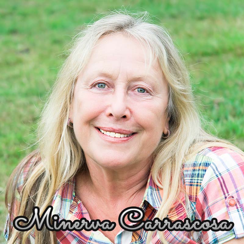 TAROT DIARIO el tarot del dia de Tarot Minerva Carrascosa TAROT DIARIO: el tarot del día de Tarot Minerva Carrascosa