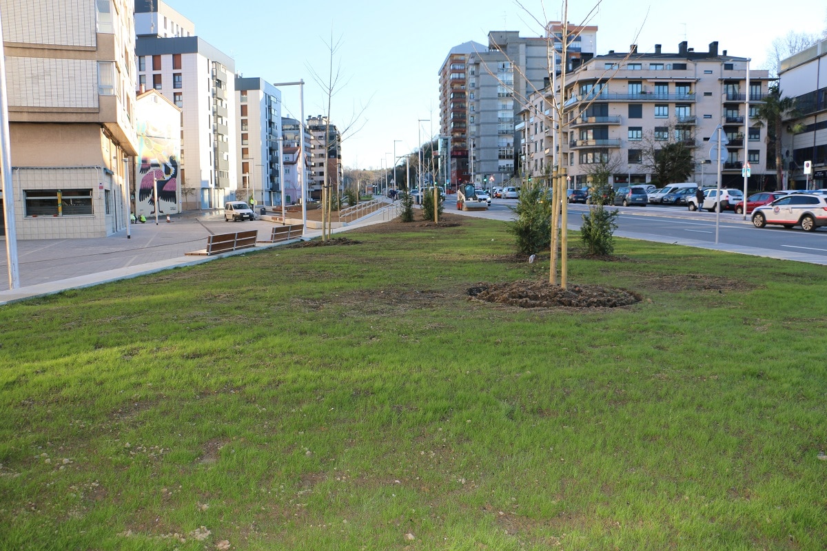 IMG 7055 Plantación popular el lunes en la Travesía de Loiola