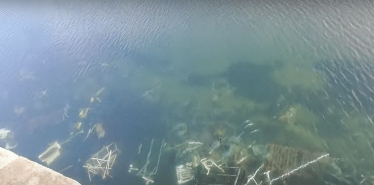 EH Bildu culpa del "limbo jurídico" de la limpieza del Urumea al Ayuntamiento 1 urumea EH Bildu culpa del "limbo jurídico" de la limpieza del Urumea al Ayuntamiento