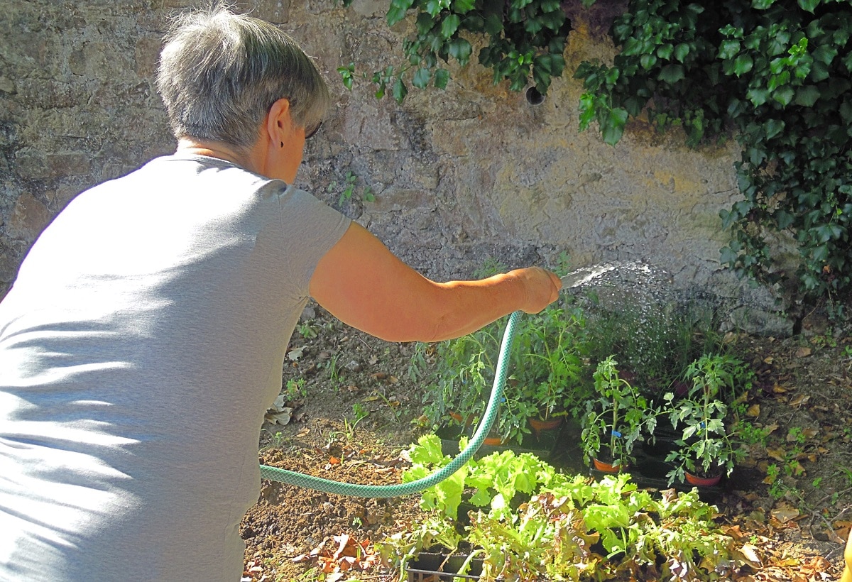 baratzea Fundación Cristina Enea propone el huerto como terapia para pacientes oncológicos