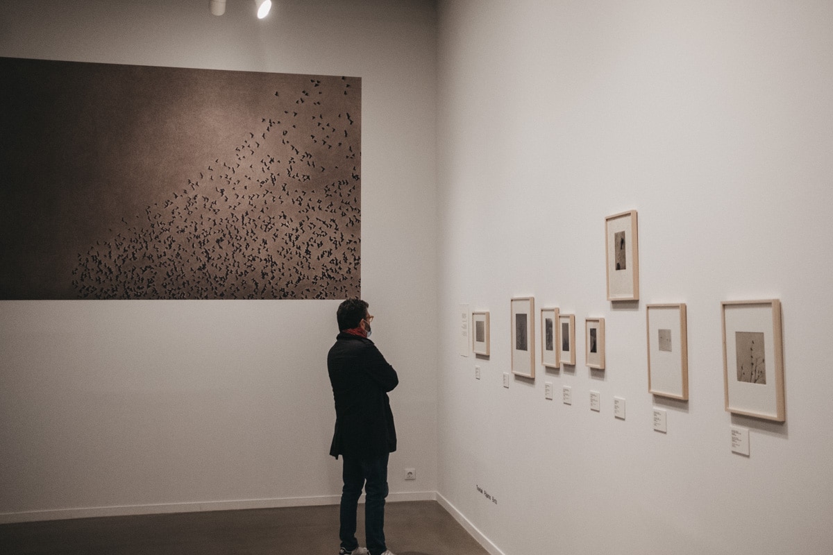 DSCF4383 Artegunea se asoma a los paisajes mentales del eibartarra Unai San Martín