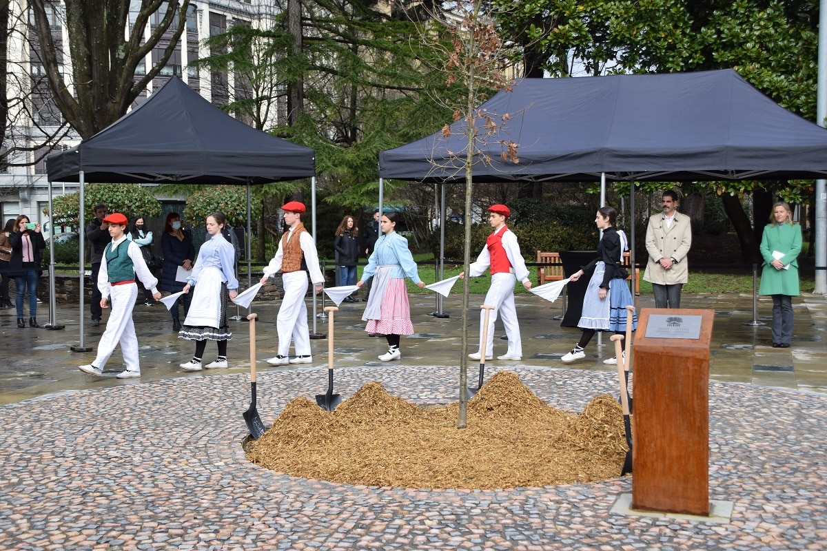 Gernikako Arbola 1 San Sebastián vuelve a lucir un retoño del árbol de Gernika