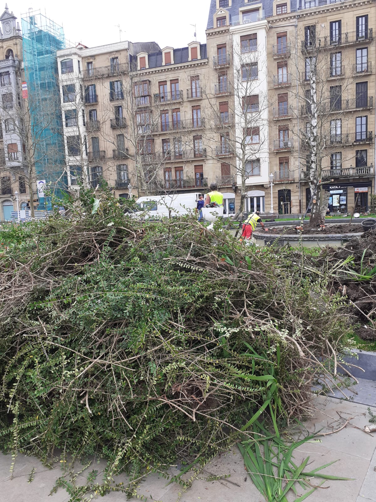 huevitos2 Ni abedul, ni patos, ni gorriones en la plaza Ramón Labaien de Donostia
