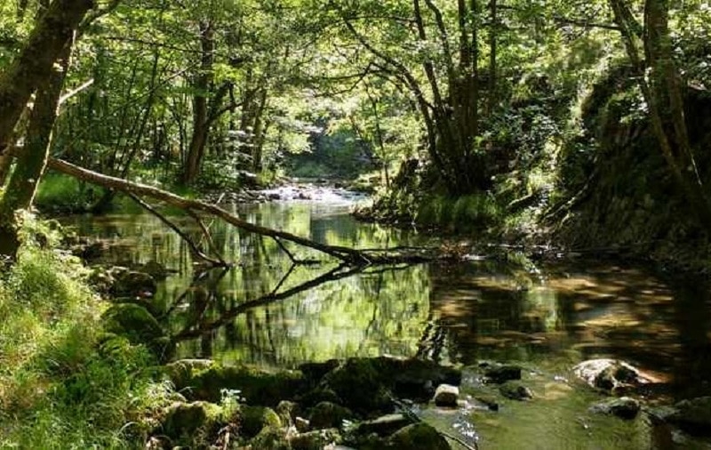 La Diputación ha eliminado obstáculos de 28 kilómetros de ríos 1 leitzaranrio La Diputación ha eliminado obstáculos de 28 kilómetros de ríos