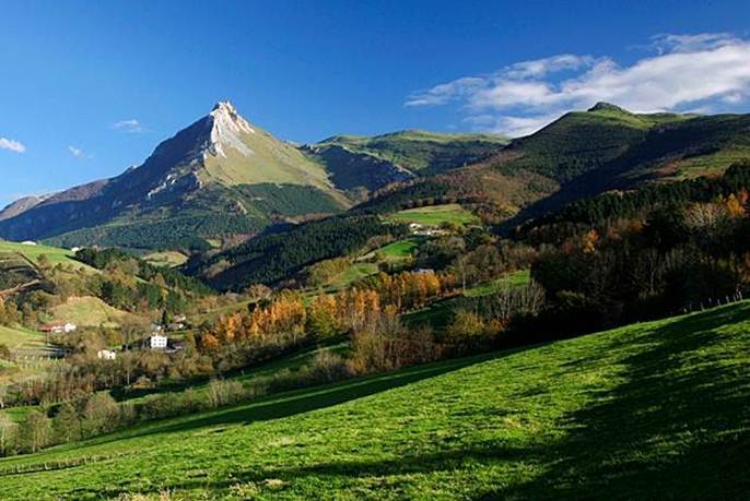 Aralar Gobierno vasco 45.000 reses de 616 ganaderos subirán a pastar al monte en Gipuzkoa