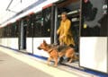 Un invidente sale del metro con un perro guía. Foto: Fundación ONCE