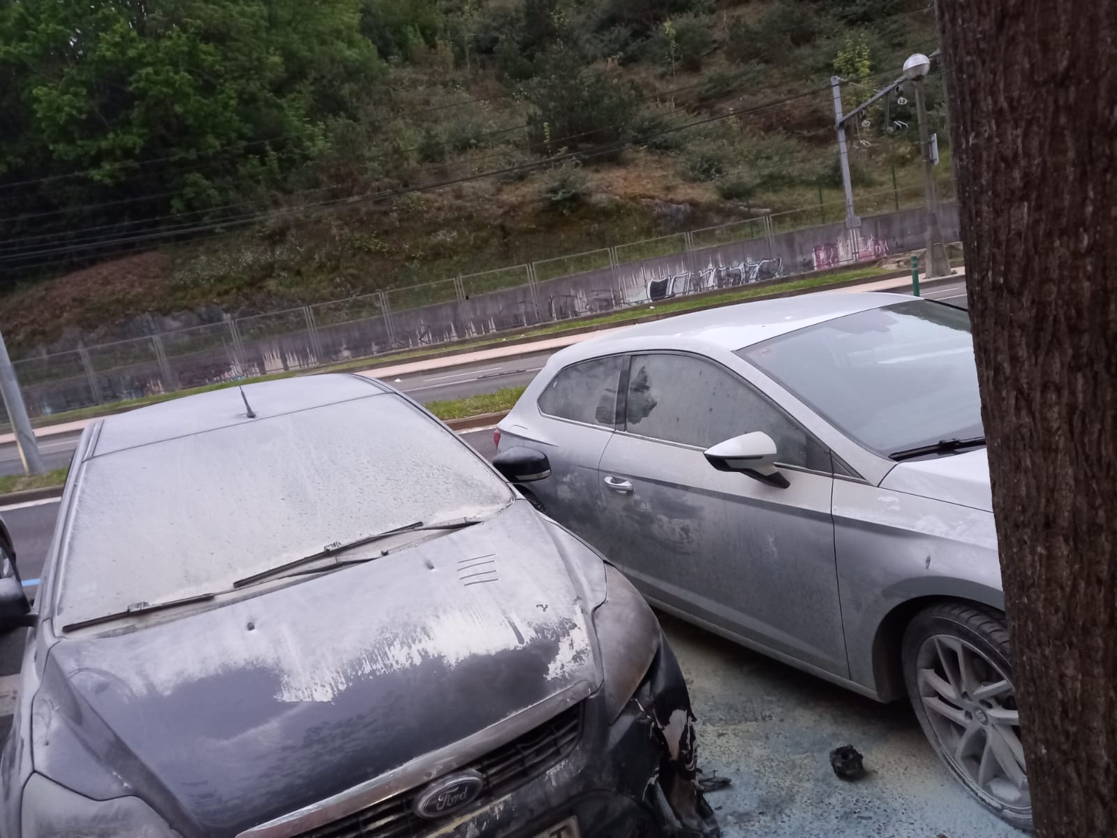 Reale Arena altercados La Real Sociedad condena las agresiones a los aficionados del Betis