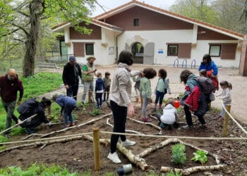 Voluntarios trabajan en el 'oasis de mariposas' de Ulia. Foto: Fundación Cristina Enea