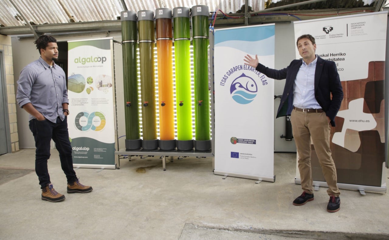 Producirán microalgas con fines comerciales en Asteasu 1 proyecto microalgas asteasu Producirán microalgas con fines comerciales en Asteasu